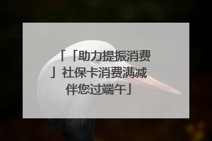 「助力提振消费」社保卡消费满减伴您过端午