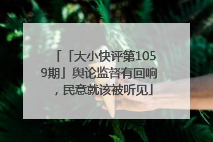 「大小快评第1059期」舆论监督有回响，民意就该被听见