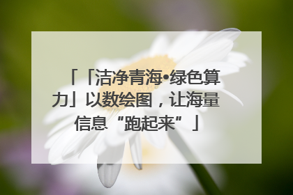 「洁净青海•绿色算力」以数绘图，让海量信息“跑起来”