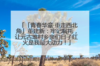 「青春华章·重走西北角」董建新：牢记嘱托，让元古堆村乡亲们日子红火是我最大动力！