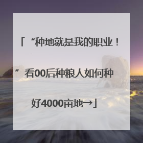 “种地就是我的职业！”看00后种粮人如何种好4000亩地→