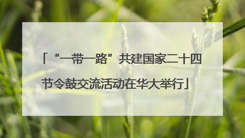 “一带一路”共建国家二十四节令鼓交流活动在华大举行