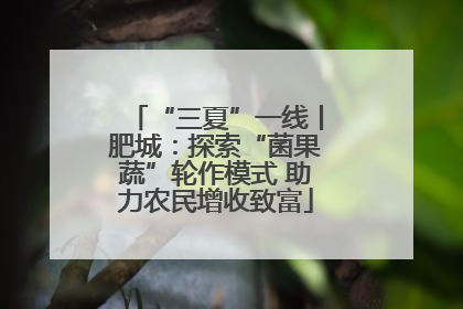 “三夏”一线丨肥城：探索“菌果蔬”轮作模式 助力农民增收致富