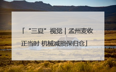 “三夏”视觉｜孟州麦收正当时 机械减损保归仓