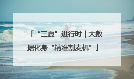 “三夏”进行时｜大数据化身“精准割麦机”