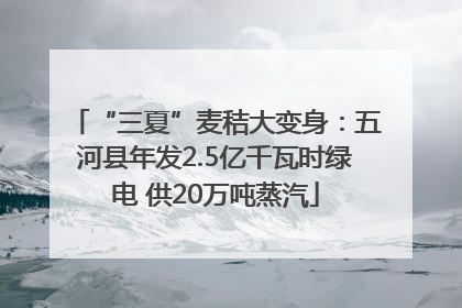 “三夏”麦秸大变身：五河县年发2.5亿千瓦时绿电 供20万吨蒸汽