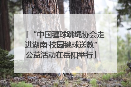 “中国毽球跳绳协会走进湖南·校园毽球送教”公益活动在岳阳举行