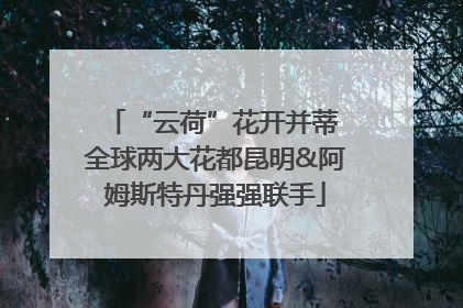 “云荷”花开并蒂 全球两大花都昆明&阿姆斯特丹强强联手