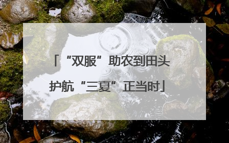 “双服”助农到田头 护航“三夏”正当时