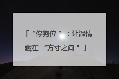 “停狗位 ”：让温情藏在 “方寸之间 ”