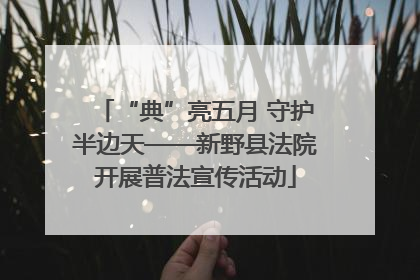 “典”亮五月 守护半边天——新野县法院开展普法宣传活动