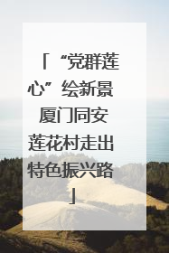 “党群莲心”绘新景 厦门同安莲花村走出特色振兴路