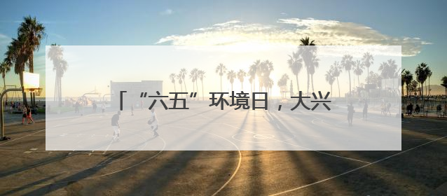“六五”环境日，大兴廊坊携手共赴生态之约