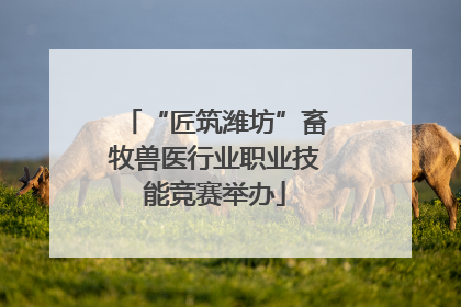 “匠筑潍坊”畜牧兽医行业职业技能竞赛举办