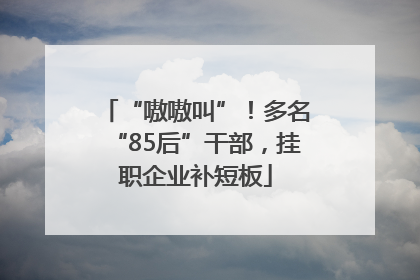 “嗷嗷叫”！多名“85后”干部，挂职企业补短板