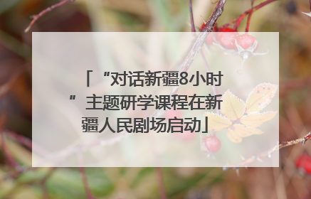 “对话新疆8小时”主题研学课程在新疆人民剧场启动