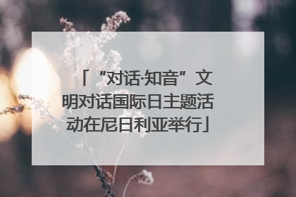“对话·知音”文明对话国际日主题活动在尼日利亚举行