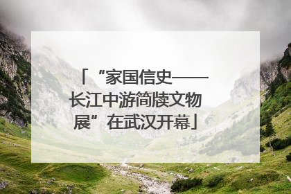 “家国信史——长江中游简牍文物展”在武汉开幕