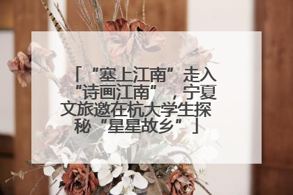 “塞上江南”走入“诗画江南”，宁夏文旅邀在杭大学生探秘“星星故乡”