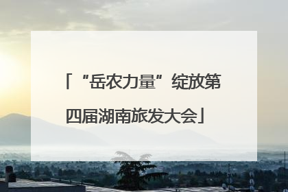 “岳农力量”绽放第四届湖南旅发大会