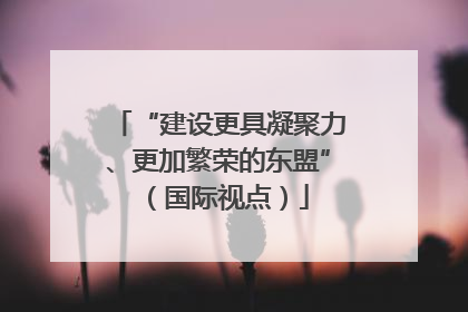 “建设更具凝聚力、更加繁荣的东盟”（国际视点）