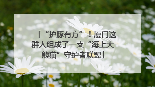 “护豚有方”！厦门这群人组成了一支“海上大熊猫”守护者联盟
