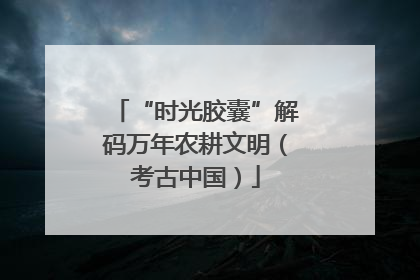 “时光胶囊”解码万年农耕文明（考古中国）