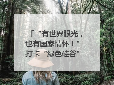 “有世界眼光，也有国家情怀！”打卡“绿色硅谷”，博主新解乐山｜网络名人四川行