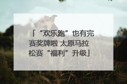 “欢乐跑”也有完赛奖牌啦 太原马拉松赛“福利”升级