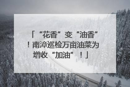 “花香”变“油香”！南漳巡检万亩油菜为增收“加油”！
