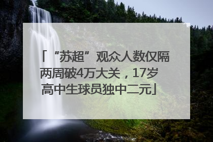 “苏超”观众人数仅隔两周破4万大关，17岁高中生球员独中二元
