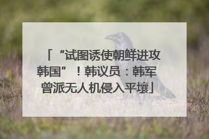 “试图诱使朝鲜进攻韩国”！韩议员：韩军曾派无人机侵入平壤