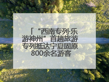 “西南专列·乐游神州”首趟旅游专列抵达宁夏固原 800余名游客开启清凉之旅