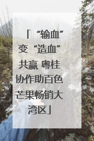“输血”变“造血”共赢 粤桂协作助百色芒果畅销大湾区