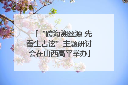 “跨海溯丝源 先蚕生古泫”主题研讨会在山西高平举办