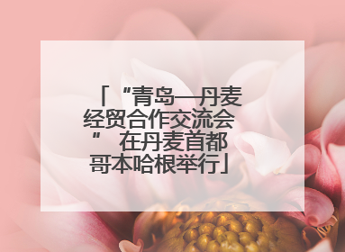 “青岛—丹麦经贸合作交流会” 在丹麦首都哥本哈根举行