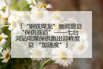 “钢铁煤龙”驰骋盛夏 “保供赛道”——七台河站电煤保供跑出迎峰度夏 “加速度”