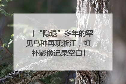 “隐退”多年的罕见鸟种再现浙江，填补影像记录空白