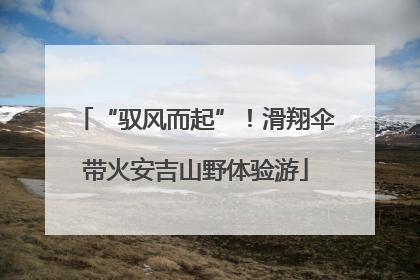 “驭风而起”！滑翔伞带火安吉山野体验游