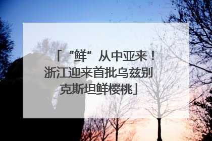 “鲜”从中亚来！浙江迎来首批乌兹别克斯坦鲜樱桃