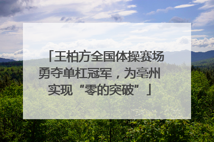 王柏方全国体操赛场勇夺单杠冠军，为亳州实现“零的突破”