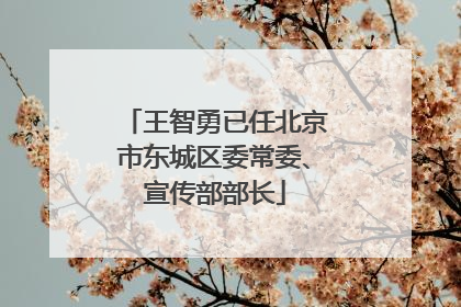 王智勇已任北京市东城区委常委、宣传部部长