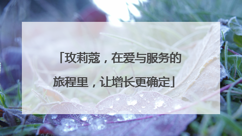 玫莉蔻，在爱与服务的旅程里，让增长更确定