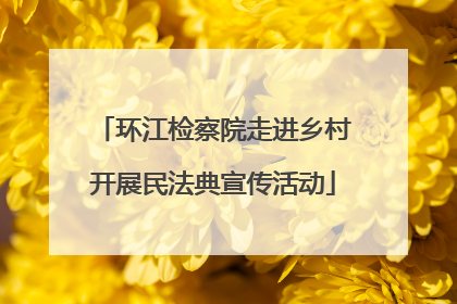 环江检察院走进乡村开展民法典宣传活动