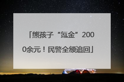 熊孩子“氪金”2000余元！民警全额追回