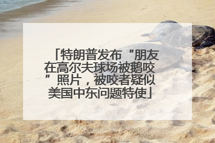 特朗普发布“朋友在高尔夫球场被鹅咬”照片，被咬者疑似美国中东问题特使