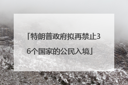 特朗普政府拟再禁止36个国家的公民入境