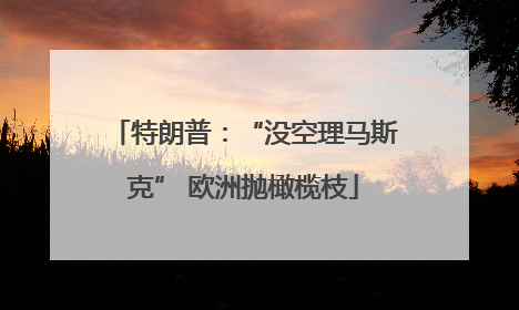 特朗普：“没空理马斯克” 欧洲抛橄榄枝