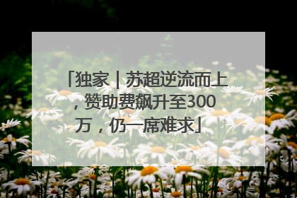独家｜苏超逆流而上，赞助费飙升至300万，仍一席难求