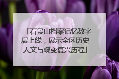 石景山档案记忆数字展上线，展示全区历史人文与蝶变复兴历程